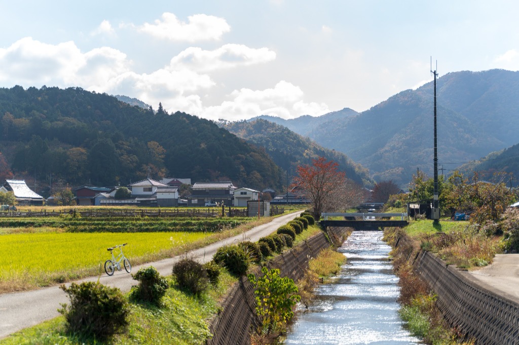 Canal and Rice Fields